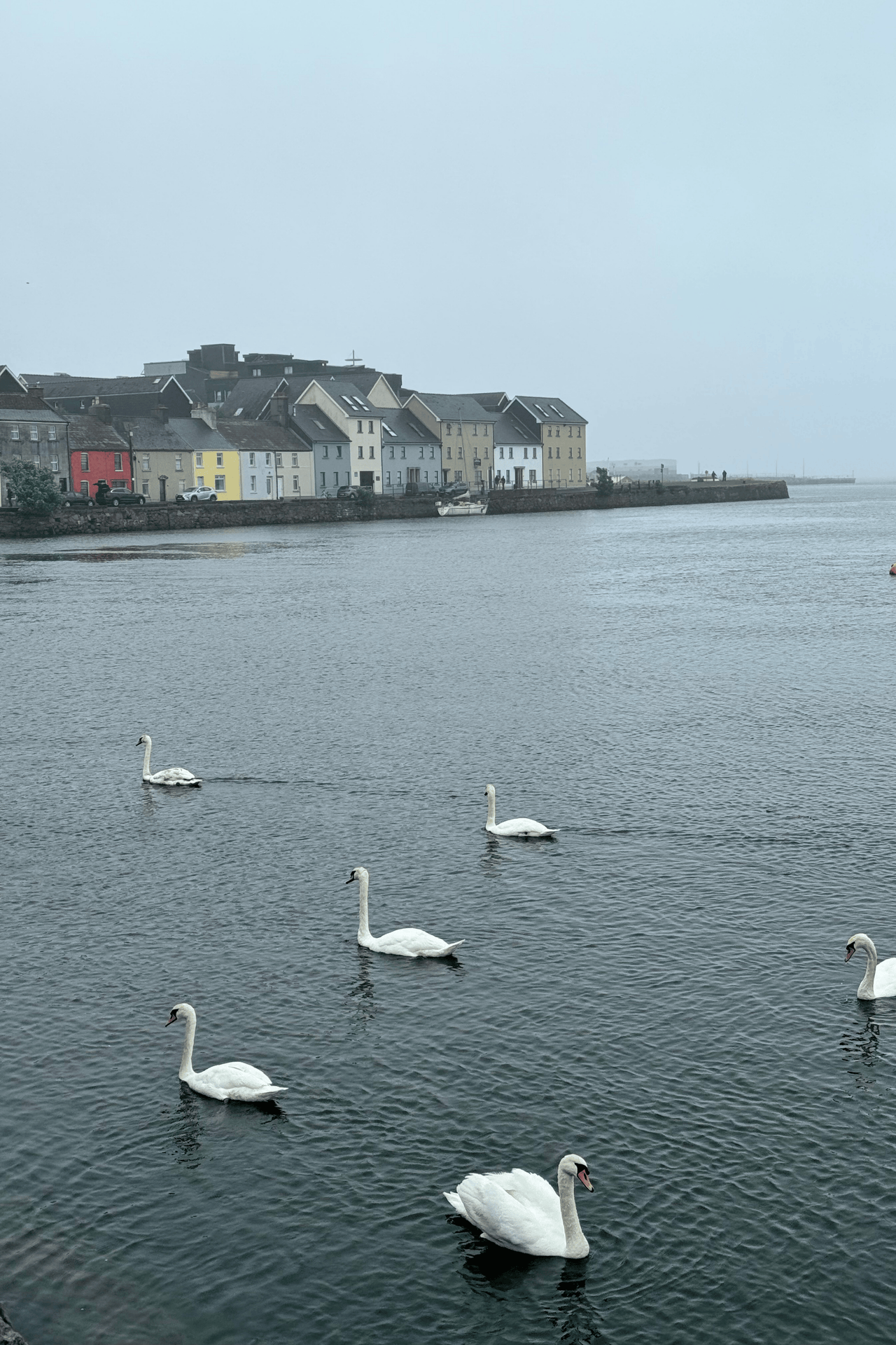 Galway Fog Bracelet